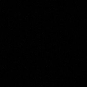 Meet your Posher, Kyra